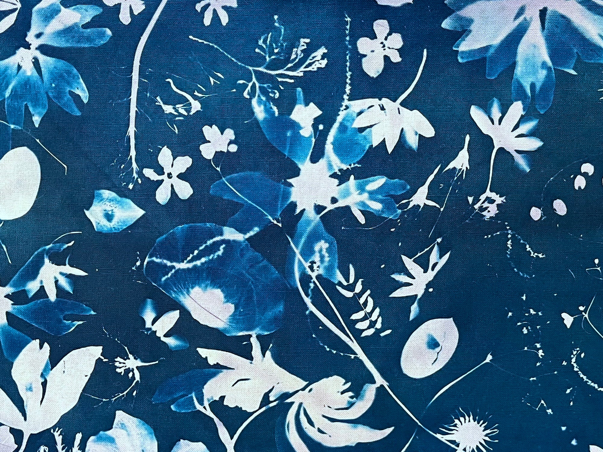 Botanical Cyanotype Workshop — Fabric