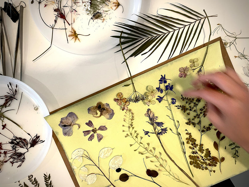 Botanical Cyanotype Workshop — Paper