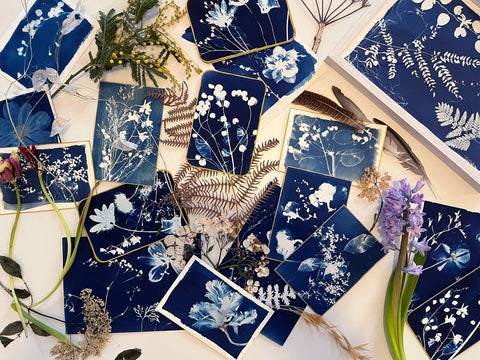 Botanical Cyanotype Workshop — Paper